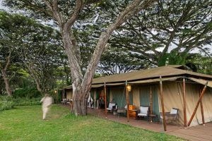 Lemala Ngorongoro Main Area