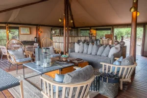 Linyanti Bush Camp Lounge