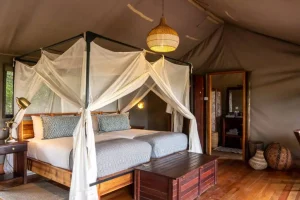 Linyanti Bush Camp Tented Suite