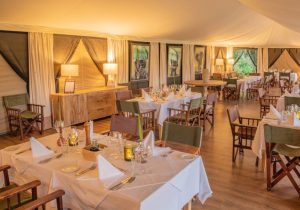 Little Governors' Camp Dining