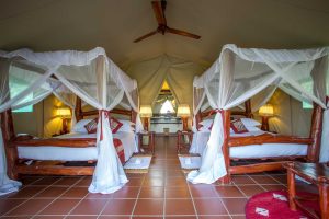 Mbuzi Mawe Serena Camp Tent Interior