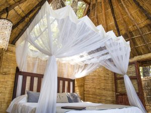 Mwamba Camp Accommodation