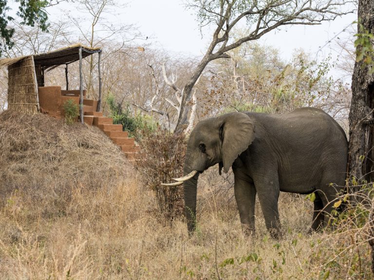 Mwamba Camp View