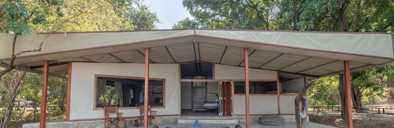 Potato Bush Camp Tent