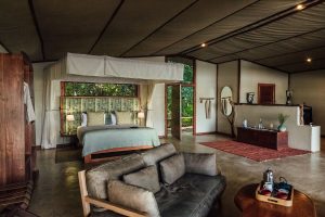 Potato Bush Camp Tent Interior