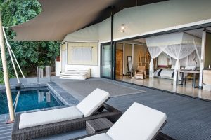 Sausage Tree Camp Room With Pool