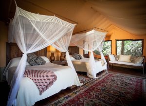 Semliki Safari Lodge Rooms