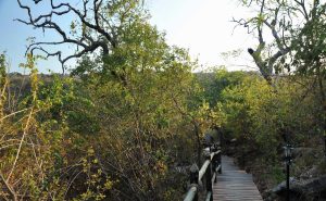 Serena Mivumo River Lodge Walkway