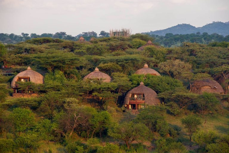 Serengeti Serena Safari Lodge View
