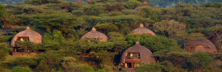 Serengeti Serena Safari Lodge View