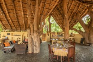 Tafika Camp Dining