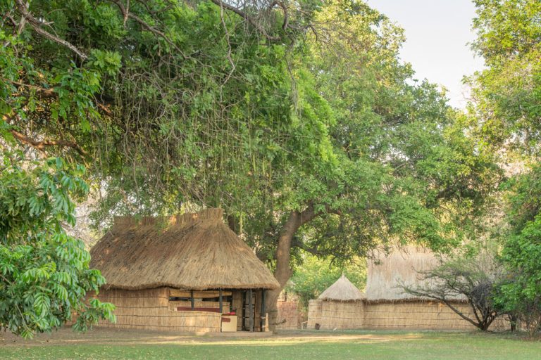 Tafika Camp View