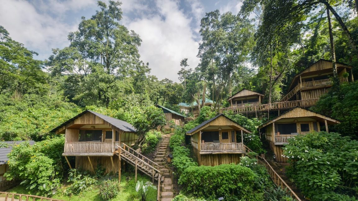 Buhoma Lodge, Bwindi Impenetrable National Park, Uganda