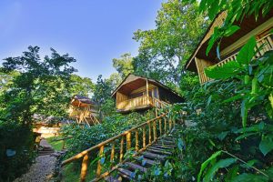 Buhoma Lodge Rooms
