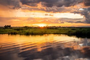Chobe Safari Lodge River View
