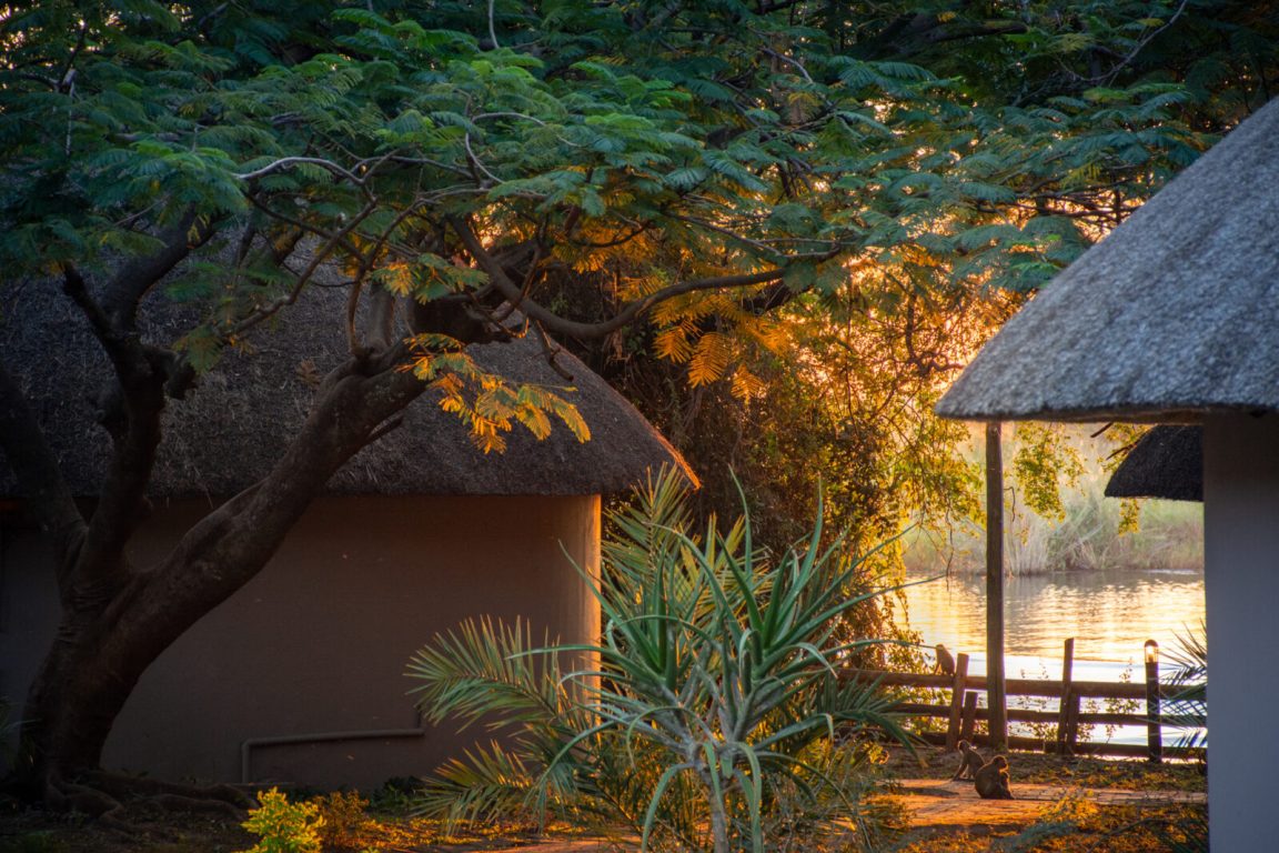 Chobe Safari Lodge View