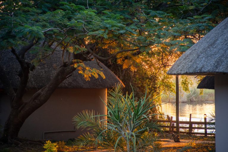 Chobe Safari Lodge View