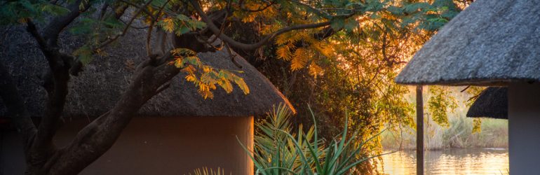 Chobe Safari Lodge View