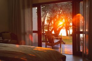 Chobe Safari Lodge View From Room