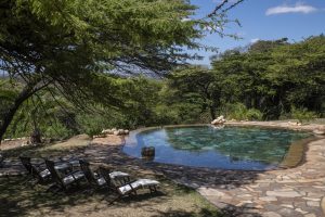 Cottar's Camp Pool