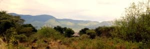 Finch Hattons View