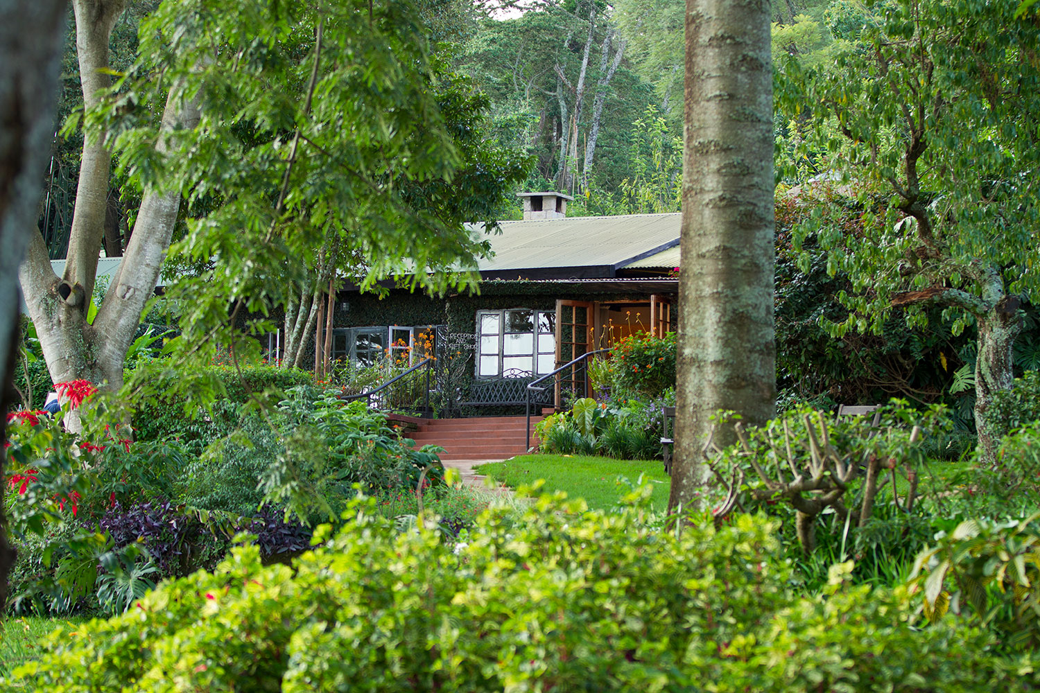 Gibbs Farm Cottage View