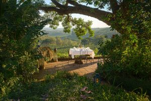 Gibbs Farm Dining Outdoors