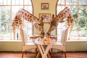 Giraffe Manor Breakfast