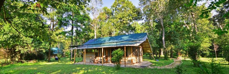 Ishasha Wilderness Camp Rooms