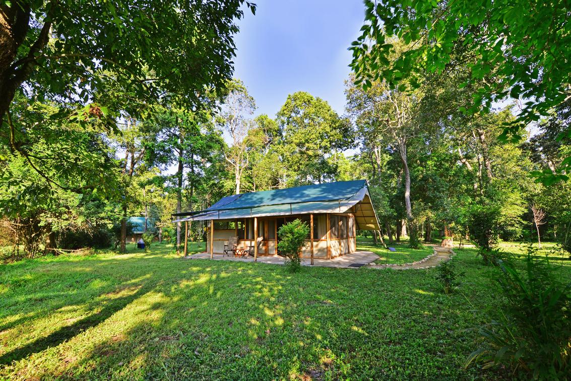 Ishasha Wilderness Camp Rooms