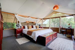 Ishasha Guest Tent Interior