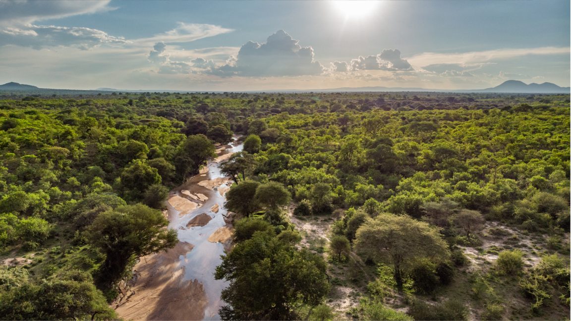 Jongomero Aerial View Over Jongomero In The Ruaha National Park
