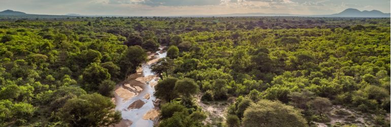 Jongomero Aerial View Over Jongomero In The Ruaha National Park