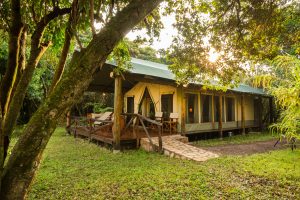 Karen Blixen Camp Tent