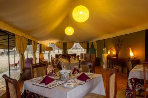 Kaskaz Mara Camp Dining