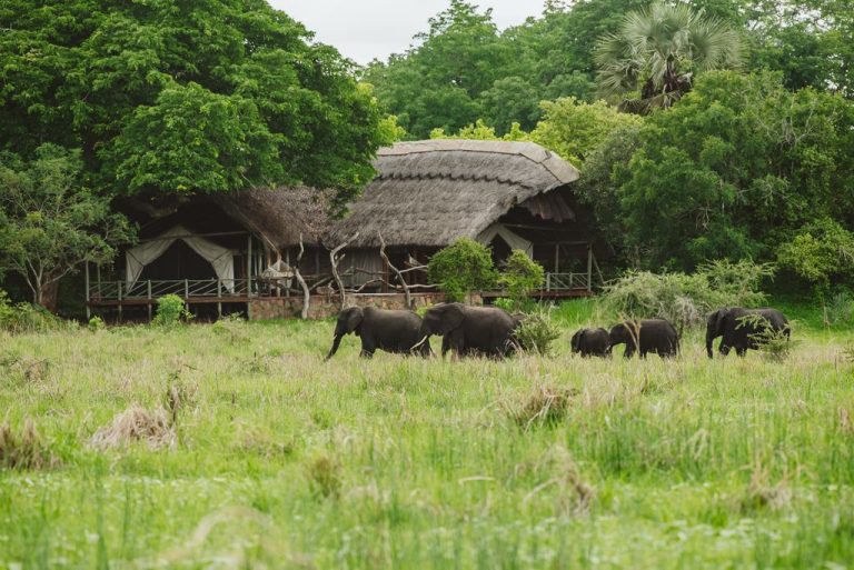 Katavi Wildlife Camp View