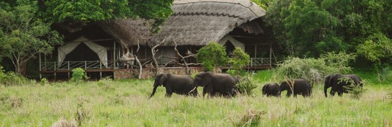 Katavi Wildlife Camp View