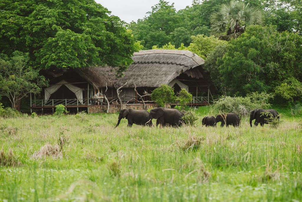 Katavi National Park