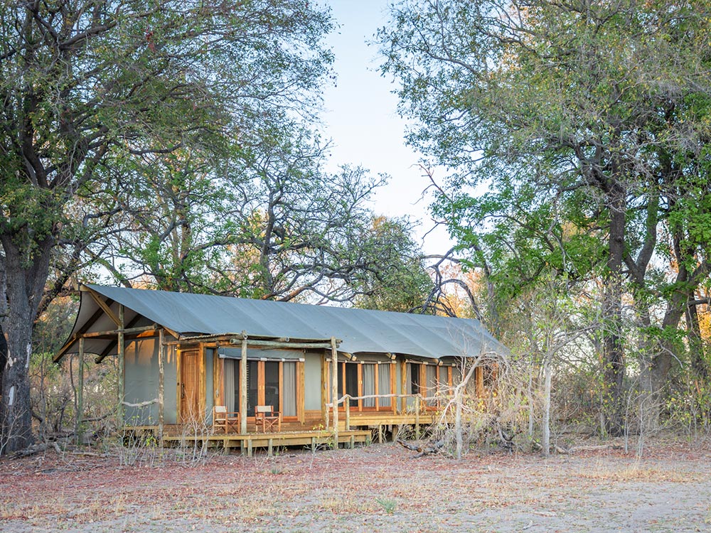 Kwando Kwara Camp Tent