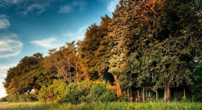 Kwando Kwara Camp View