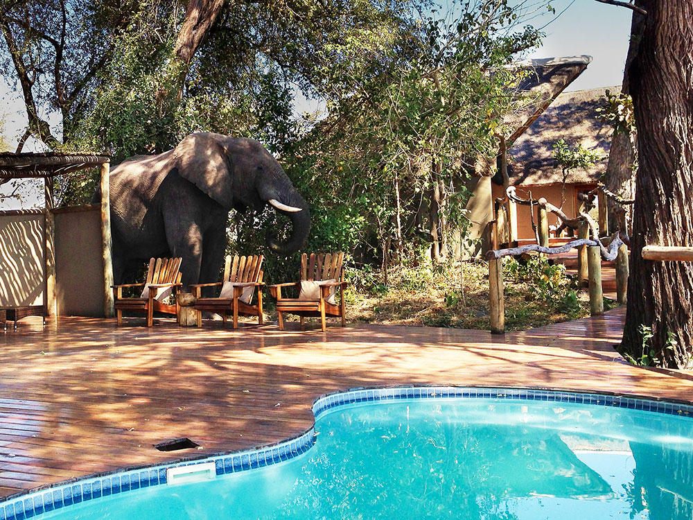 Kwando Lagoon Camp Pool