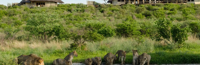 Kwando Tau Pan Camp View