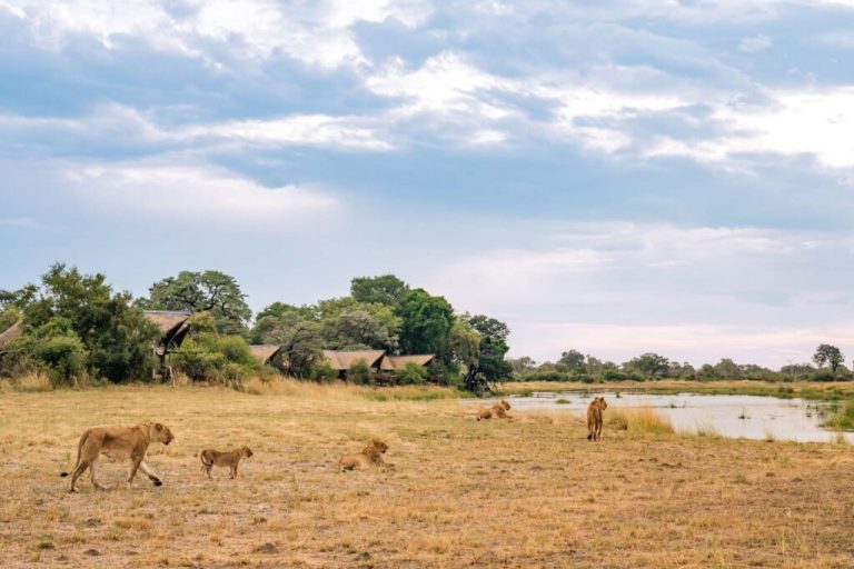 Kwando Lagoon Camp, Linyanti Concessions, Botswana