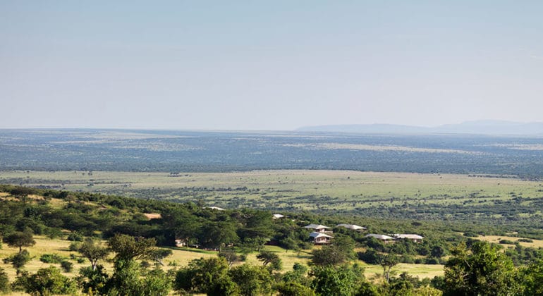 Mara Bushtops Aerial View
