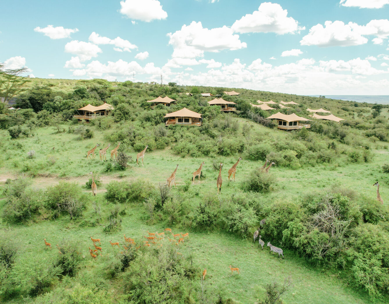 Mara Bushtops Camp View