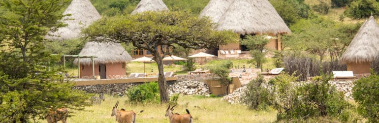 Mara Bushtops View