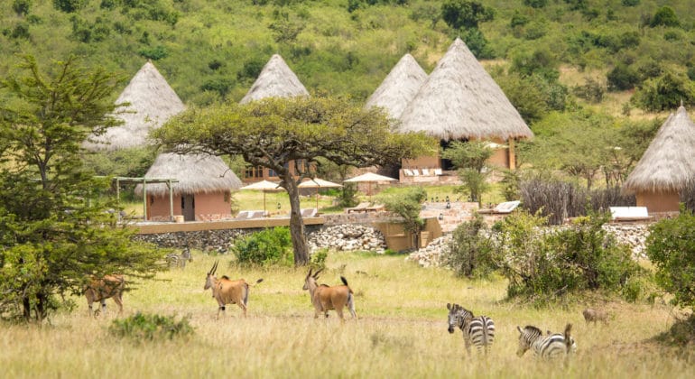 Mara Bushtops View