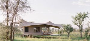 Mara Roving Bushtops Tent