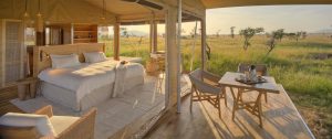 Mara Roving Bushtops Tent View