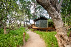 Moremi Crossing Tent